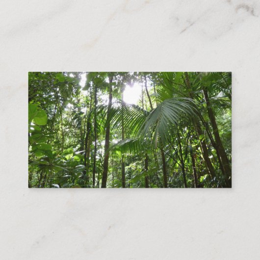 熱帯緑の熱帯雨林の天蓋を通る日光 名刺 (裏面)