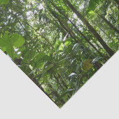 熱帯緑の熱帯雨林の天蓋を通る日光 薄葉紙 (詳細)