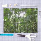 熱帯緑の熱帯雨林の天蓋を通る日光 薄葉紙 (クラフト)