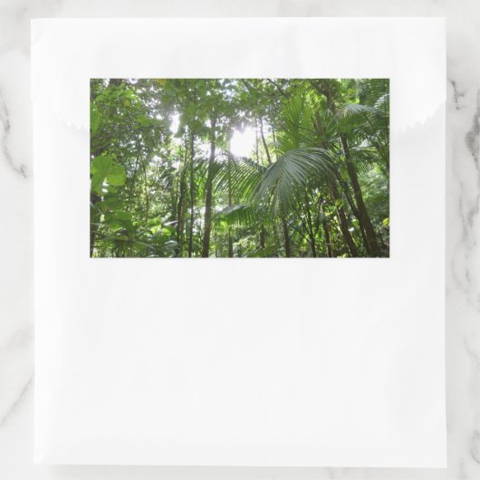 熱帯緑の熱帯雨林の天蓋を通る日光 長方形シール (バッグ)