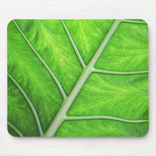 熱帯緑の葉の質の自然の写真のマウスパッド マウスパッド (正面)