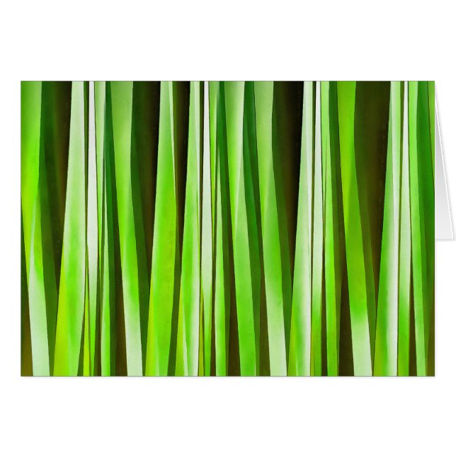 熱帯緑のRiverweed (正面横)