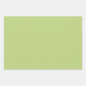 熱帯緑葉色オレンジ色の花 ラッピングペーパーシート (正面3)