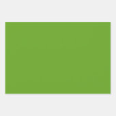 熱帯緑葉色オレンジ色の花 ラッピングペーパーシート (正面2)