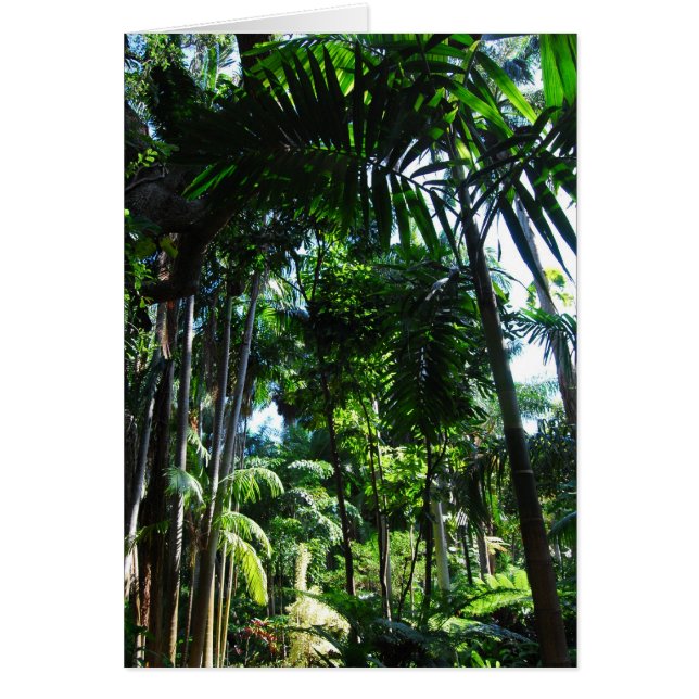 熱帯美しい (正面)