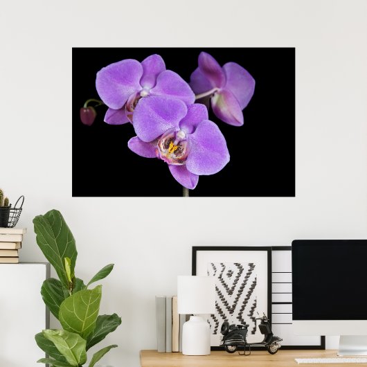 熱帯美しい ポスター (ホームオフィス)