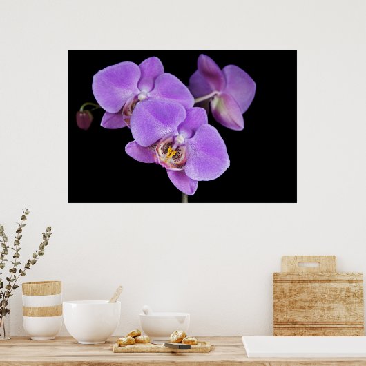 熱帯美しい ポスター (キッチン)