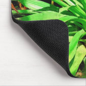 熱帯群葉のコレクション、フェアチャイルド熱帯g マウスパッド (コーナー)