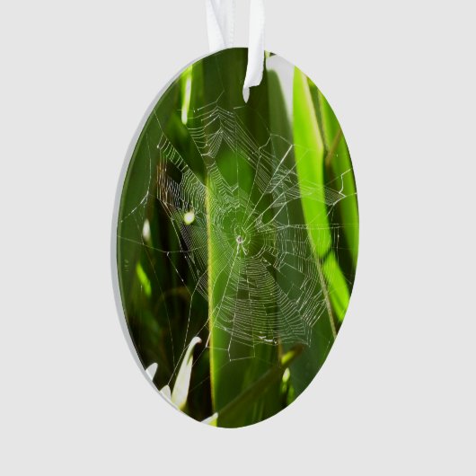熱帯自然の葉クモの巣 オーナメント (正面)
