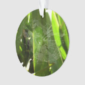 熱帯自然の葉クモの巣 オーナメント (正面)