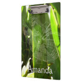 熱帯自然の葉クモの巣 クリップボード (左)