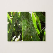 熱帯自然の葉クモの巣 ジグソーパズル (横)