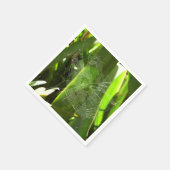 熱帯自然の葉クモの巣 スタンダードカクテルナプキン (角)