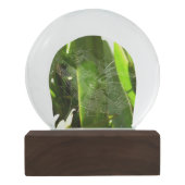 熱帯自然の葉クモの巣 スノーグローブ (裏面)