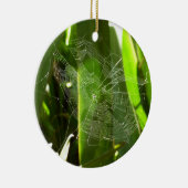 熱帯自然の葉クモの巣 セラミックオーナメント (右)