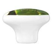 熱帯自然の葉クモの巣 セラミックノブ (側面)