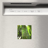 熱帯自然の葉クモの巣 マグネット (インサイチュ (食洗機))