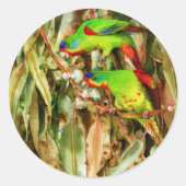 熱帯自然オウム緑鳥 ラウンドシール (正面)