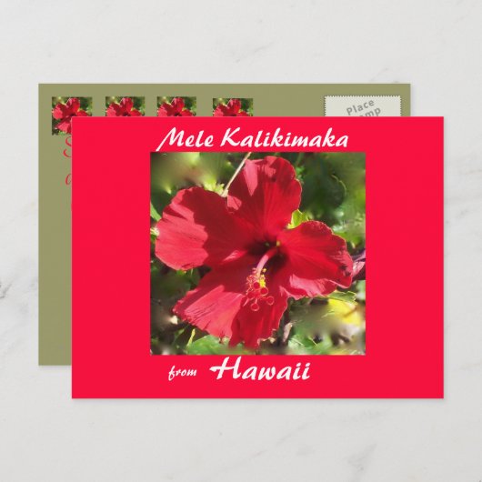 熱帯花のクリスマスの写真カード シーズンポストカード (正面/裏面)