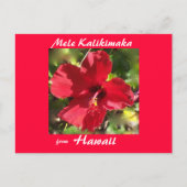 熱帯花のクリスマスの写真カード シーズンポストカード (正面)