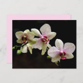 熱帯花はがき ポストカード (正面/裏面)