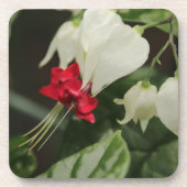 熱帯花コースターセット コースター (正面)