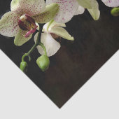 熱帯花ティッシュペーパー 薄葉紙 (詳細)