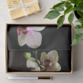 熱帯花ティッシュペーパー 薄葉紙 (ギフト)