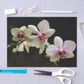 熱帯花ティッシュペーパー 薄葉紙 (クラフト)