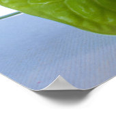 熱帯花バイザビーチ ポスター (角)