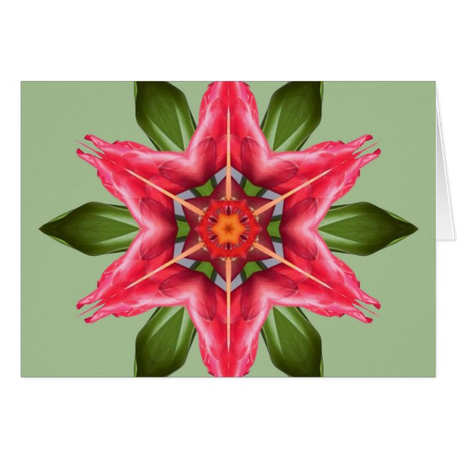 熱帯花 (正面横)