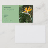 "熱帯花"の名刺 名刺 (正面/裏面)