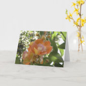 熱帯花 – カ空白のード カード (黄色い花)