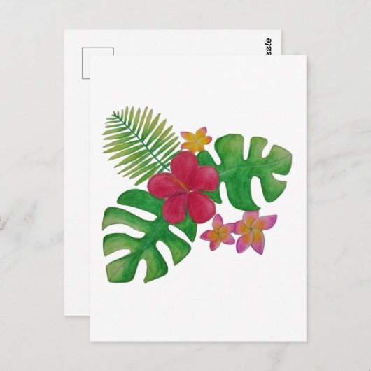 熱帯花 ポストカード (正面/裏面)