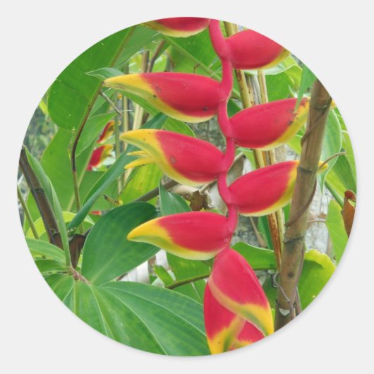熱帯花 ラウンドシール (正面)