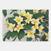 熱帯花 ラッピングペーパーシート (正面)