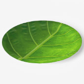 熱帯葉の使い捨て可能な紙皿 ペーパープレート (アングル)