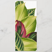 熱帯葉メニュー メニュー (裏面)