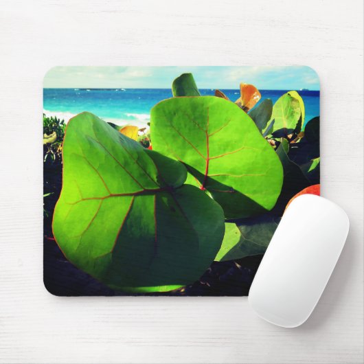熱帯葉球 マウスパッド (マウス)