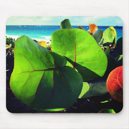 熱帯葉球 マウスパッド (正面)