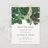 熱帯葉金ゴールド温室結婚植物薬 案内ポストカード (正面/裏面)