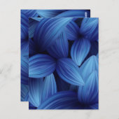 熱帯葉12 ポストカード (正面/裏面)