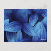 熱帯葉12 ポストカード (裏面)