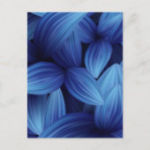 熱帯葉12 ポストカード (正面)