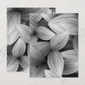 熱帯葉13 ポストカード (正面/裏面)