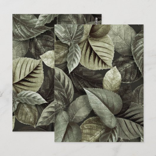 熱帯葉5 ポストカード (正面/裏面)