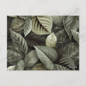 熱帯葉5 ポストカード (裏面)