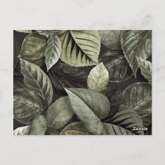 熱帯葉5 ポストカード (裏面)