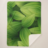 熱帯葉9個 シェルパブランケット (正面)