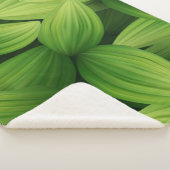 熱帯葉9個 シェルパブランケット (3/4)